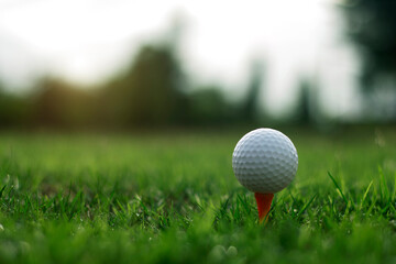 golf ball on tee in a beautiful golf course with morning sunshine