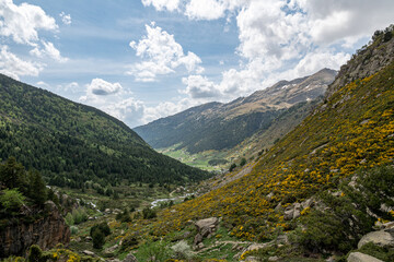 Landscape of the Vall de Incles in Andorra in spring 2022. - obrazy, fototapety, plakaty