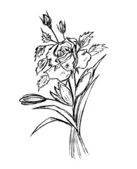 black outline of a bouquet of flowers on a white background