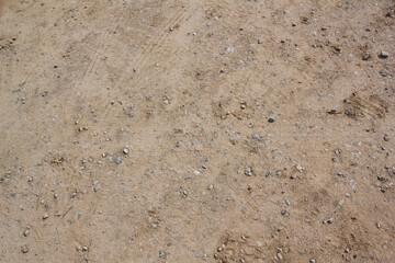 Soil texture background. Top view soil . 