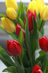 Fototapeta premium Bouquet of beautiful tulips flowers