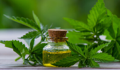 hemp oil. fresh cannabis leaves. Jars of cannabis oil.