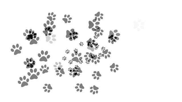 Dirty animal tracks appear on a white background. Abstract paw prints on the field.