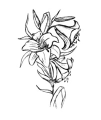 black outline of a bouquet of flowers on a white background
