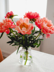 Weekly peonies on the table in the living room an on the windowsill. Macro peonies, harmony at home