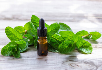 Bottle with essential oil and mint isolated on a light background.