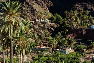 Valle del Gran Rey, La Gomera, Canary Islands, Spain: church surrounded by palm trees