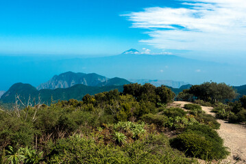 La Gomera, Canary Islands, Spain: the Garajonay National Park with the Teide volcano in the background