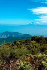 La Gomera, Canary Islands, Spain: the Garajonay National Park with the Teide volcano in the background