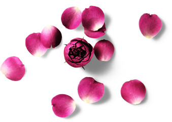 Flower Boom Graphic Pack © Pixelbuddha Studio