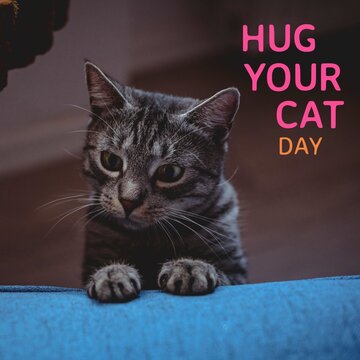 Composite of hug your cat day text and african american woman with kitten, copy space