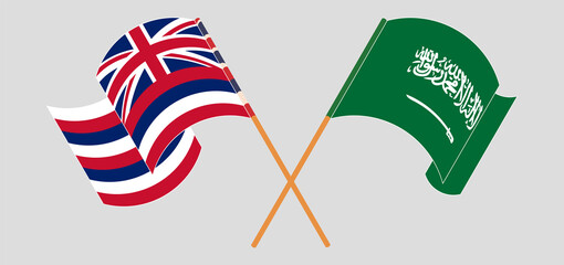 Crossed and waving flags of The State Of Hawaii and Saudi Arabia