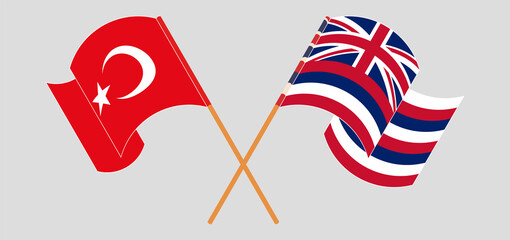 Crossed and waving flags of Turkey and The State Of Hawaii