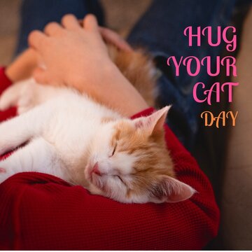 Composite of hug your cat day text with caucasian young woman carrying sleeping cat, copy space