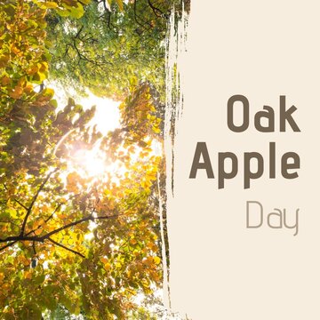 Composite image of apple tree by oak apple day text, copy space