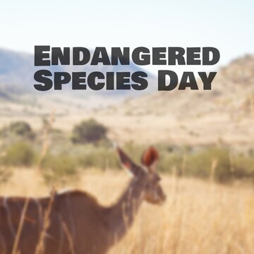 Digital composite image of endangered species day text and deer standing on grassy landscape