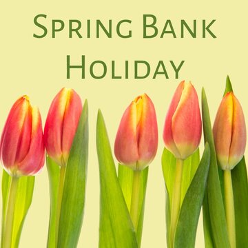 Digital composite image of spring bank holiday text on pink tulip flowers against beige background