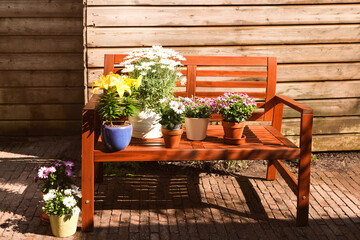 Many different beautiful blooming plants in flowerpots and wooden bench outdoors