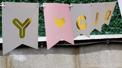flag with inscription it's a boy or it's a girl hanging outside, windy sunny spring day. gender party reveal concept. close up slow motion video