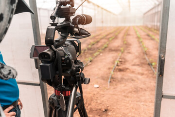 Cameraman recording video inside a greenhouse where plants grow for production