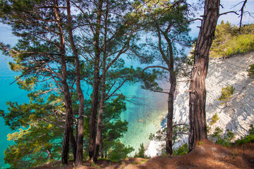 Sea. Black Sea day