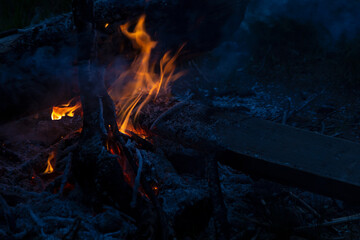 Glowing orange bonfire in dark indigo blue twilight on beach in camping. Camp and travel in nature,...