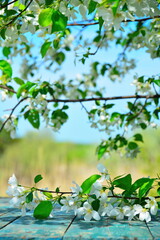 Space of an old wooden table in the garden with flowers on a branch under blooming apple trees with view on blurred natural background. Selective focus, vertical frame, saturated color