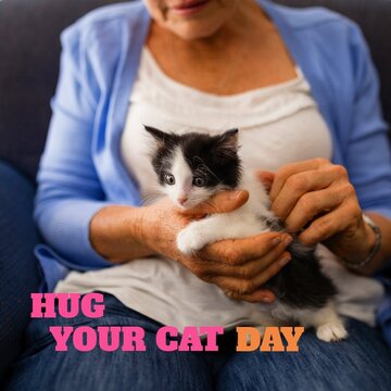 Composite of hug your cat day text with caucasian senior woman sitting with kitten, copy space