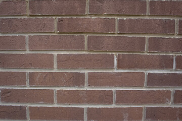 the brick wall is brown.