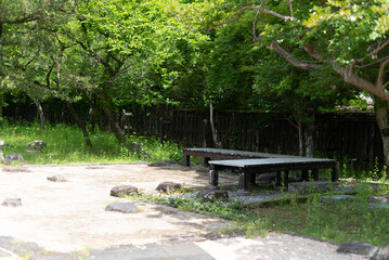 木々が生い茂る中庭、日本の夏風景