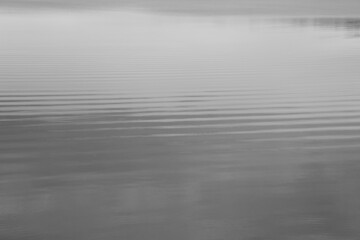 photo noir blanc, d'une promenade en Ireland sur les reflets du bord de lac 