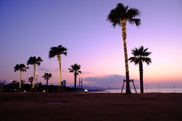 海岸と夕日と椰子の木