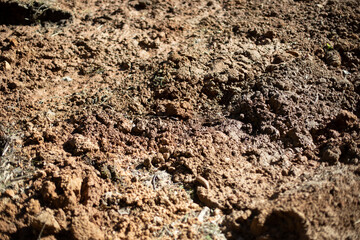 Excavated soil. Broken land. Texture of mud. Clay and soil.