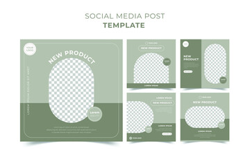 Set of minimalist social media templates. Editable vector post templates. Square minimalist leaves background in pastel colours
illustration