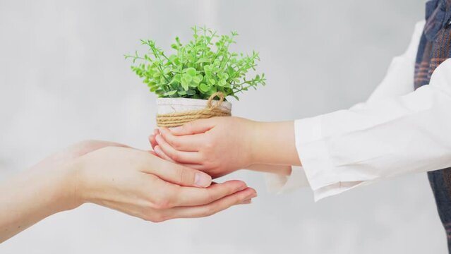 植物を手渡す少年と女性　環境保護イメージ