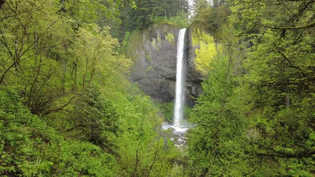 Surrounded by forest, the beautiful Latourell Falls drops almost 250 feet, eventually flowing into the Columbia River in Oregon. The Pacific Northwest is known for its lush, green forests.