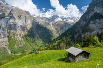 Fototapeta na wymiar amazing view on swiss alps in Murren Lauterbrunnen in Switzerland