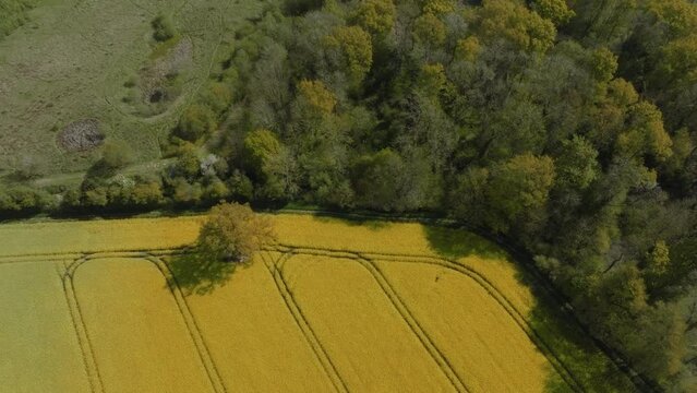 Springtime University Of Warwick Campus Countryside Aerial View