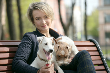 Woman sitting in park with two jack russell terriers