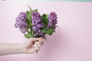 girl holding a bouquet of lilacs on a pink background