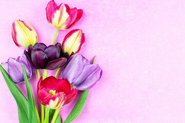 Obraz premium A bouquet of multicolored daffodil flowers on a pink background. A place for a text, congratulations. Floral background. The concept of the holiday. Birthday, March 8, Valentine's Day, Mother's Day.