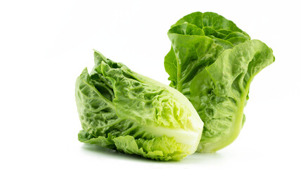Fresh two Romaine or cos lettuce (Lactuca sativa L. var. longifolia) set in vertical and level flat isolated on white background, healthy eating vegetable concept, front view - obrazy, fototapety, plakaty