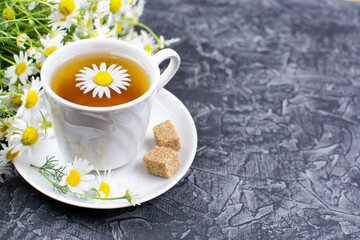Tea (decoction, infusion) from chamomile medicinal (pharmacy) field in a cup on a saucer on a black...