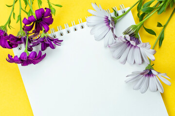 Purple and white flowers of Osteospermum (Cape daisy) and a sketchbook (notepad) on a yellow background. Space for the text. Mother's Day, Birthday. Freelance, beauty business.