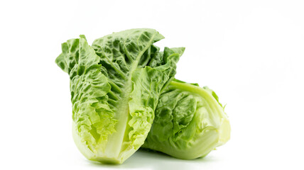 Fresh of two Romaine or cos lettuce (Lactuca sativa L. var. longifolia) set overlap isolated on white background, healthy eating vegetable concept, front view