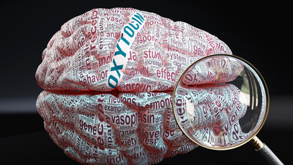 Oxytocin in human brain, a concept showing hundreds of crucial words related to Oxytocin projected onto a cortex to fully demonstrate broad extent of this condition,3d illustration