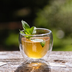 Homemade tea mushroom, kombucha drink, refreshing drink in glass cups with mint, on natural green background