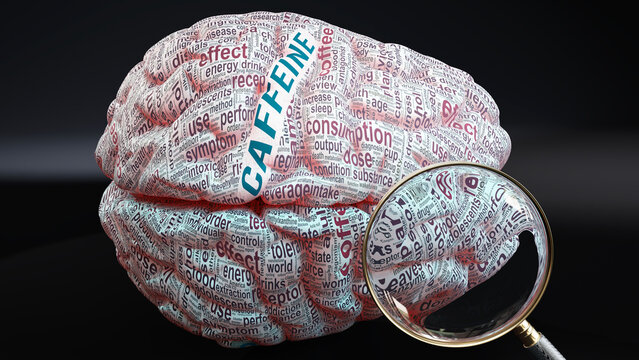 Caffeine in human brain, a concept showing hundreds of crucial words related to Caffeine projected onto a cortex to fully demonstrate broad extent of this condition,3d illustration