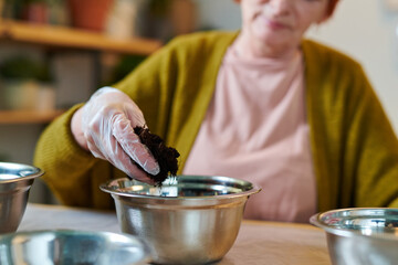 Close-up of mature woman putting soil into bowl sitting at table, she planting house plants