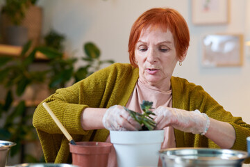 Mature red haired woman planting flowers in pots at table during seasonal time
